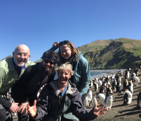 Four expeditioners posing in front of some royal penguins