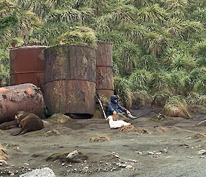 An expeditioner sits in front of the legacy digesters, large rusting metal barrels.  A seal lies to the side and an albatross sits just in front