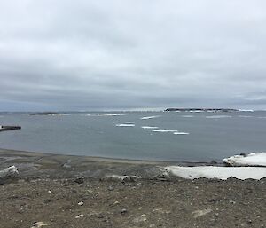 Looking out from shore towards the sea which is full of bergy bits.  Some penguins are just visible floating on the ice bits