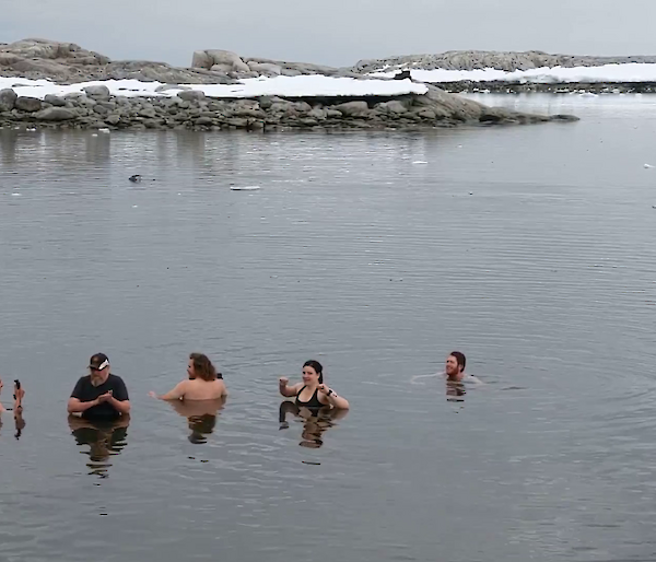 Five expeditioners standing up to their necks chests in icy sea