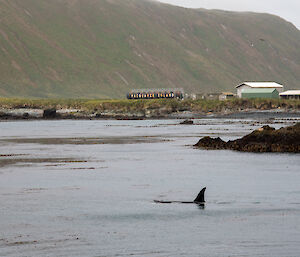 Orca in bay in front of station fuel tanks with station name