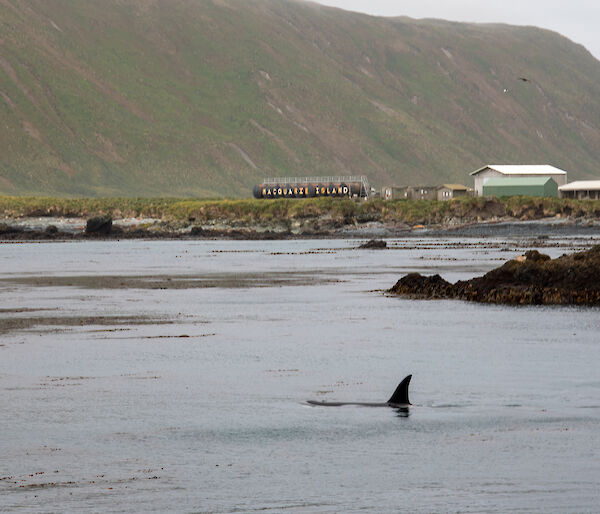 Orca in bay in front of station fuel tanks with station name
