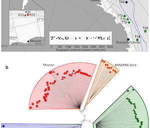 Graphic showing the location of krill trawls in East Antarctica, and the four genetically distinct krill microbiomes observed from DNA sequencing of bacteria on their exoskeletons.