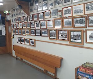 A photo wall filled with black and white images of all the Macca Teams all the way back to the 1940s