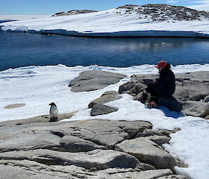 A women sits on a rock surrounded by snow.  A small penguin stands close to her.