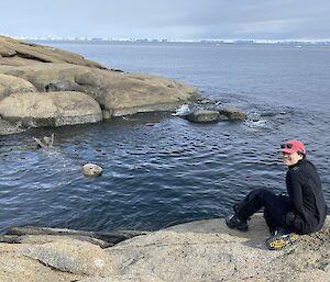 Female sitting on a rock by the shore.  An seal head and tail can be seen beside her in the water.  Icebergs line the horizon
