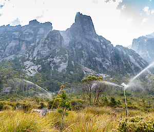 sprinkler system in forest