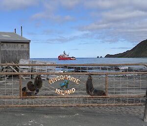 L'Astrolabe ship visible on the water behind the Macquarie Island sign located on metal gate onshore.