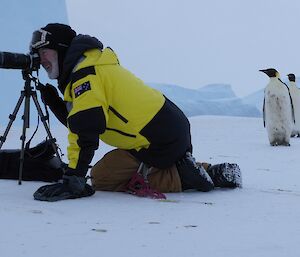 An expeditioner sits on the ice looking through a camera lens as two emperor penguins approach him from behind.