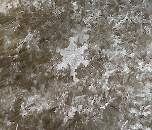 A close up of frozen snowflake shaped patterns in the ice