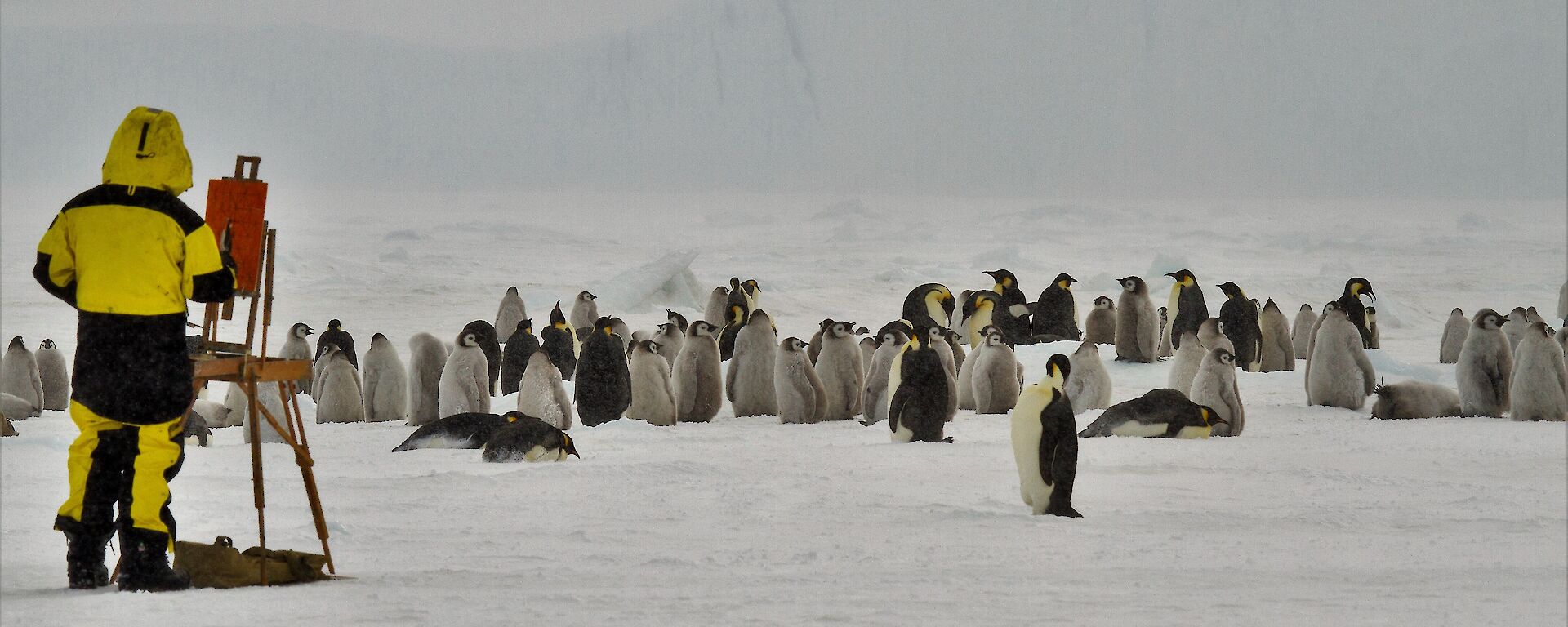 painter with easel in emperor penguin colony