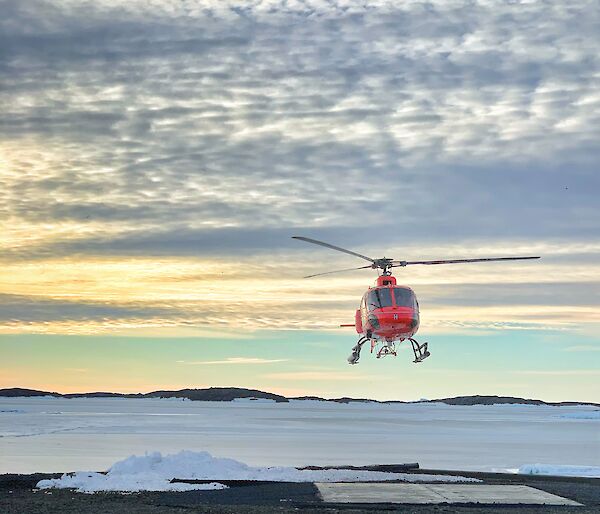A red helicopter coming in to land on a patch of land with snow