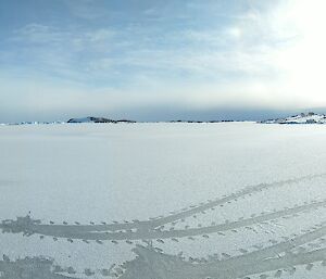 Snow covered sea ice in a bay with several tracks made by seals.  Colourful sheds and buildings visible on the opposite shore.
