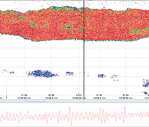 Screenshot of echogram showing the krill swarm