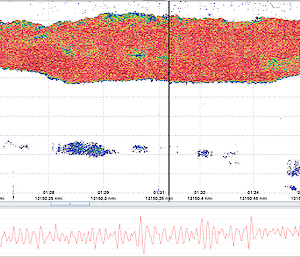 Screenshot of echogram