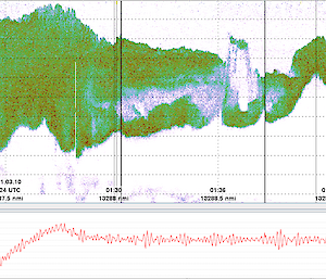 Screenshot of echogram showing a large krill swarm