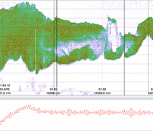 Screenshot of echogram