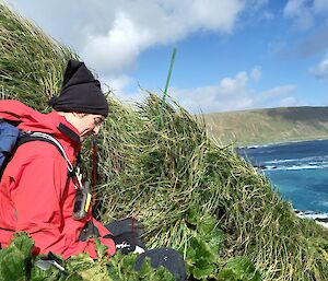 A woman sitting on a grassy hill in the tussocks wearing a black beanie, red waterproof jacked at backpack