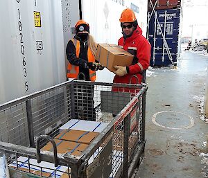 People putting boxes into a cage pallet