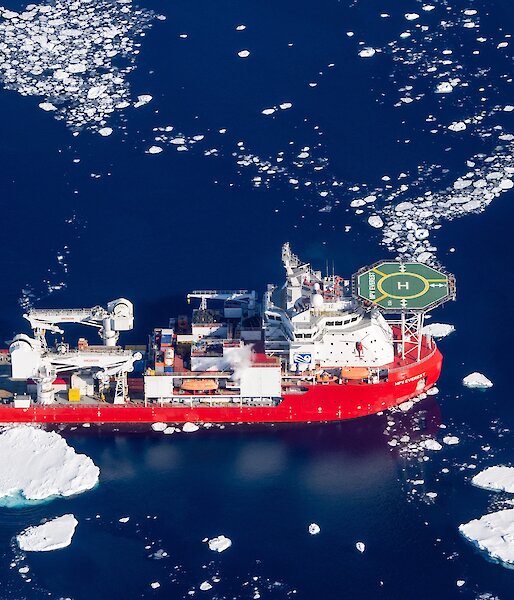 ship sits in ice off Antarctica