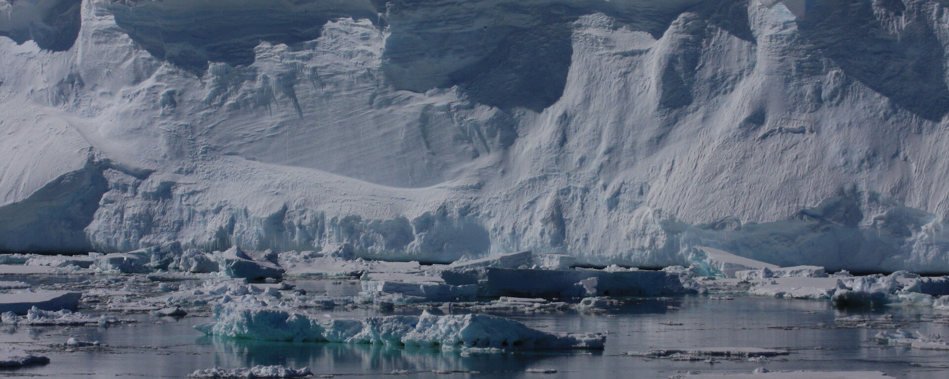The front of an ice shelf with small bergy bits floating in the ocean in front.