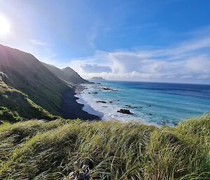 A view over grass tussocks to a turquoise sea with waves breaking on the beach and beautiful blue skies