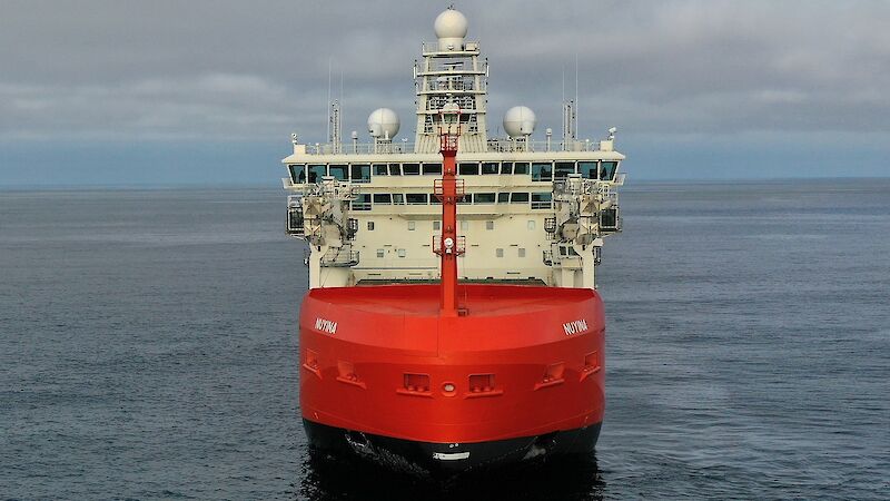 Bow view of Nuyina at sea.