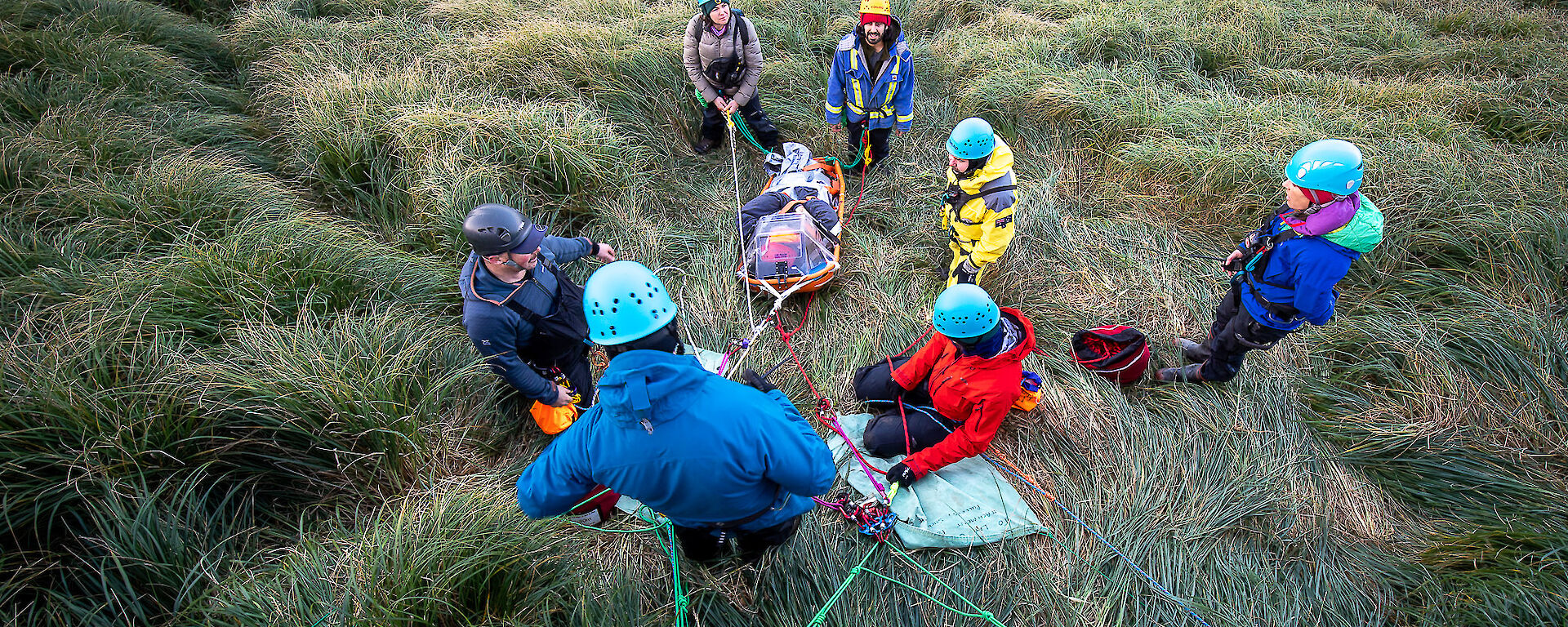 A group of brightly dressed expedtioners on a tussock covered hill all joined together by ropes