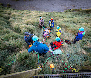 A group of brightly dressed expedtioners on a tussock covered hill all joined together by ropes