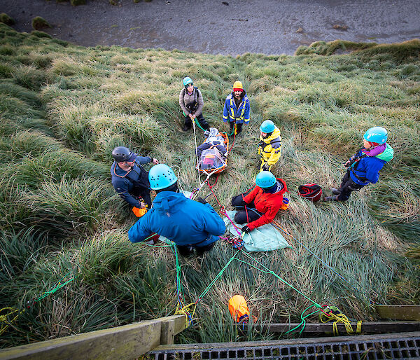 A group of brightly dressed expedtioners on a tussock covered hill all joined together by ropes