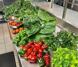 A bench full of fresh vegetables