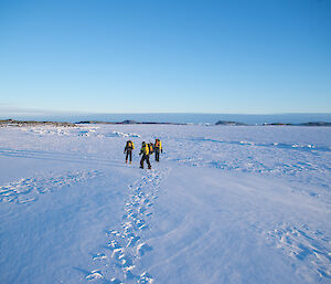 A group of people walking back along the coast from Law Cairn