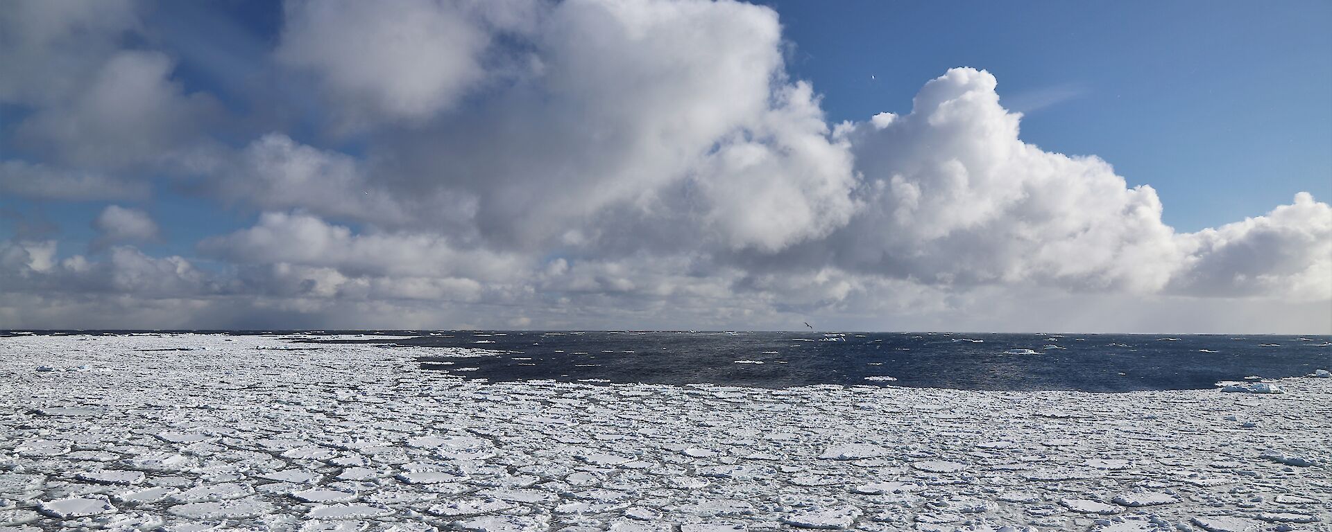 Clouds over pancake ice.