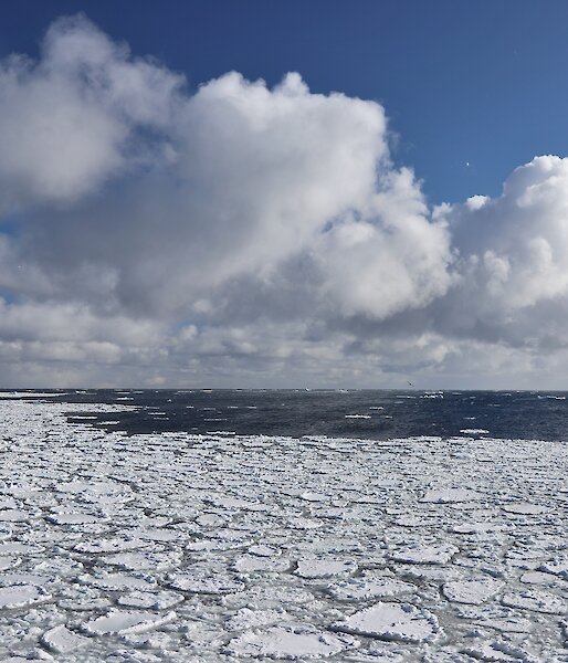 Clouds over pancake ice.