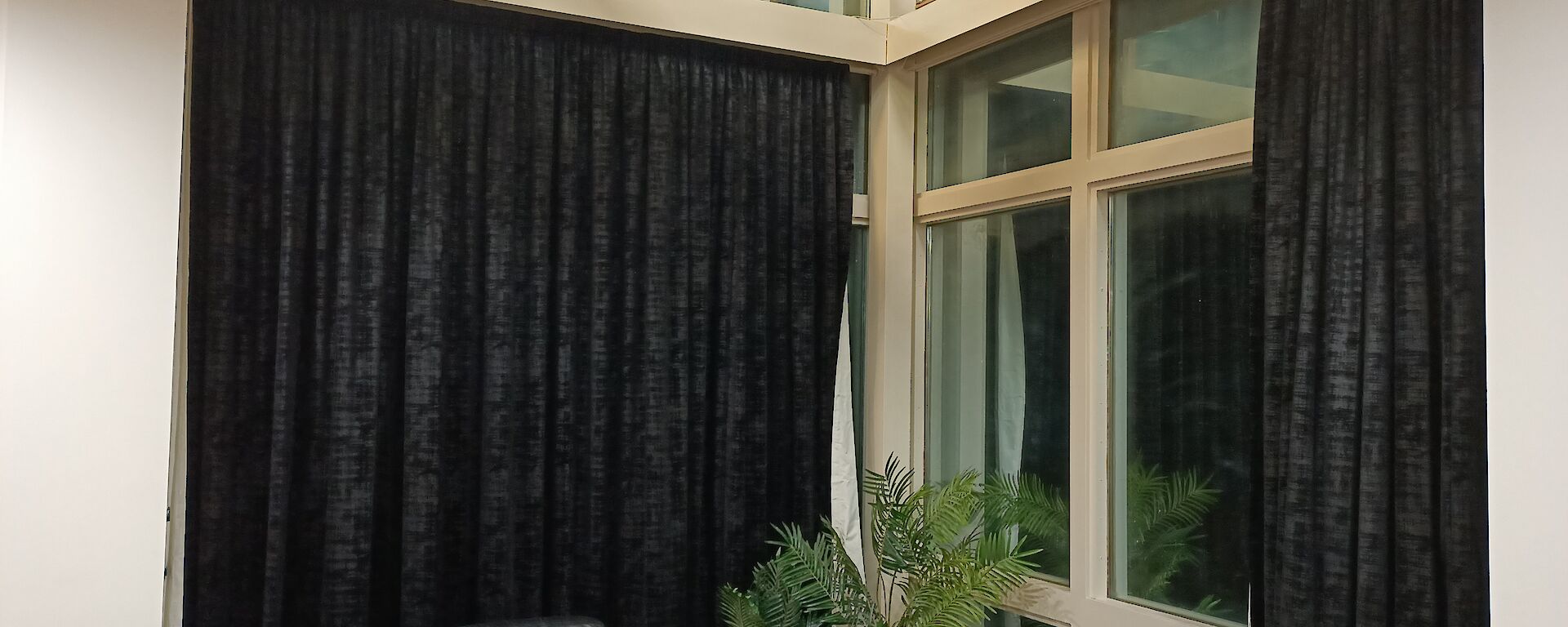 Two windows with two sofas and decorative plants in front.  Curtains drawn across one of the windows.