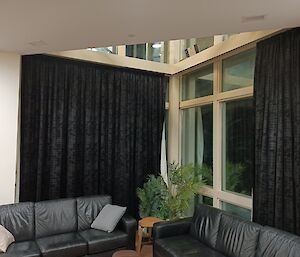 Two windows with two sofas and decorative plants in front.  Curtains drawn across one of the windows.