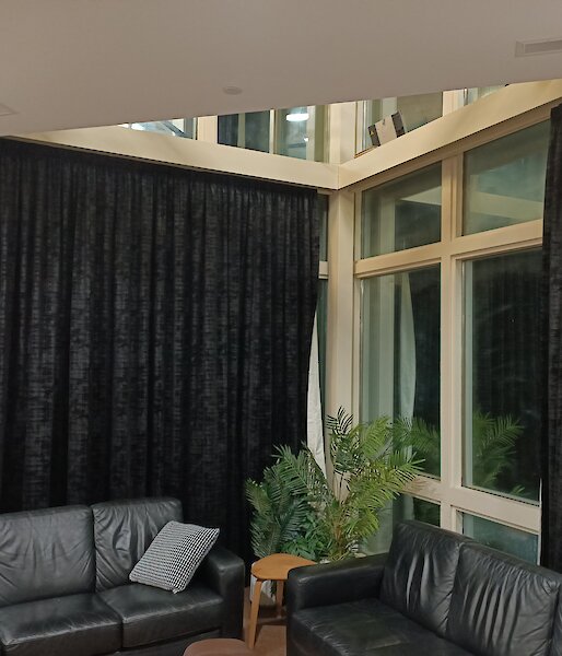 Two windows with two sofas and decorative plants in front.  Curtains drawn across one of the windows.
