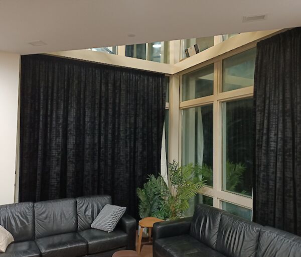 Two windows with two sofas and decorative plants in front.  Curtains drawn across one of the windows.