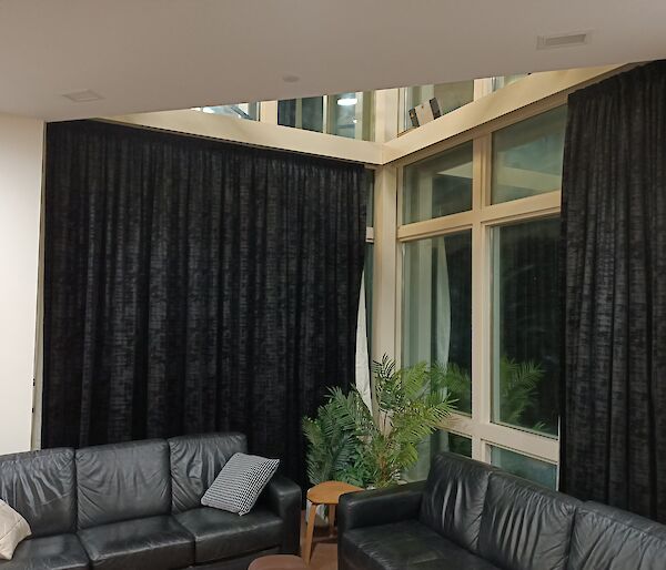 Two windows with two sofas and decorative plants in front. Curtains drawn across one of the windows.