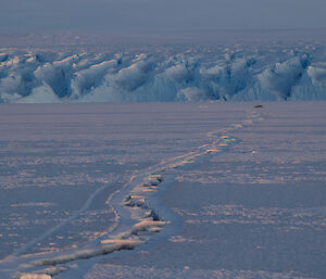 Looking along a large crack in the sea ice leading to the Plato edge with a Weddell seal laying on the ice off in the distance.