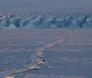 Looking along a large crack in the sea ice leading to the Plato edge with a Weddell seal laying on the ice off in the distance.