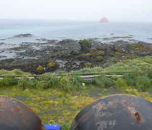 View of the coastline from some fuel drums.