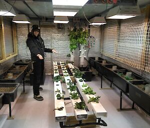 An expeditioner standing in the hydroponics room with the first lettuce just popping through the growing tubes.