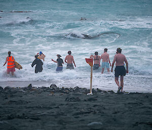Eight expeditioners face the surf on Macquarie Island