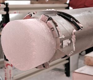 Ice core protruding from the drill head