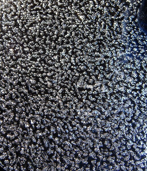 Cross section of an ice core showing it's air bubbles