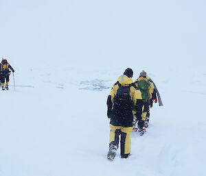 Expeditioners walking single file on sea ice.