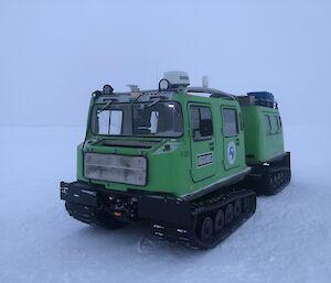 Green Hagglungs on the sea ice