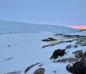 Off in the distance the penguins are huddled together which stands out as a large black patch on the snow and ice background.