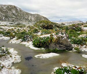 A green and hilly landscape dotted with snow capped tussocks.  A freezing slush covered wallow wends its way between the tussocks.
